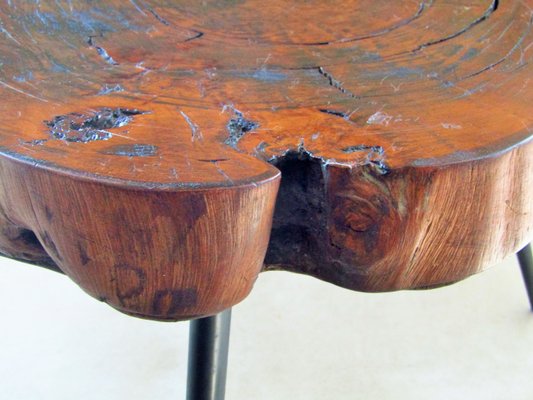 Tree Trunk Coffee Table 1950s For, Round Trunk Coffee Table