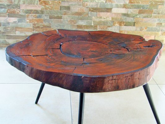 Tree Trunk Coffee Table 1950s For, Small Wood Trunk Coffee Table