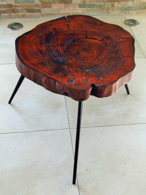 Tree Trunk Coffee Table 1950s For Sale At Pamono