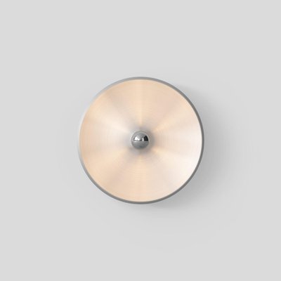 Model 262 Wall Lamp in Satinated Aluminum from Gino Sarfatti for