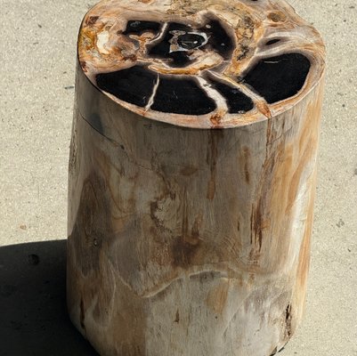Petrified Wood Side Table for sale at Pamono