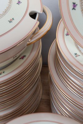 Antique French Limoges Porcelain Dinnerware by Charles Haviland