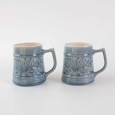 Vintage Dry Botanical Blue Mugs, 1970s, Set of 2 for sale at Pamono