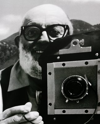 Apple Ansel Adams Poster for sale at Pamono