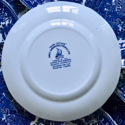Vintage English Avon Cottage Plates by Enoch Wedgwood Avon, 1950s