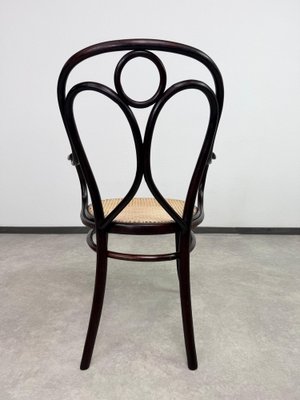 Nr.19 Angel Back Armchair in Bentwood attributed to Thonet, 1890s