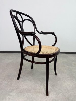 Nr.19 Angel Back Armchair in Bentwood attributed to Thonet, 1890s