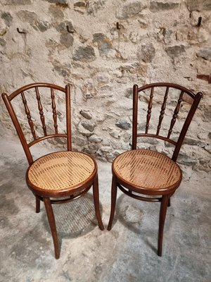 Antique Vienna Bentwood Chairs by Jacob & Josef Kohn, Austria