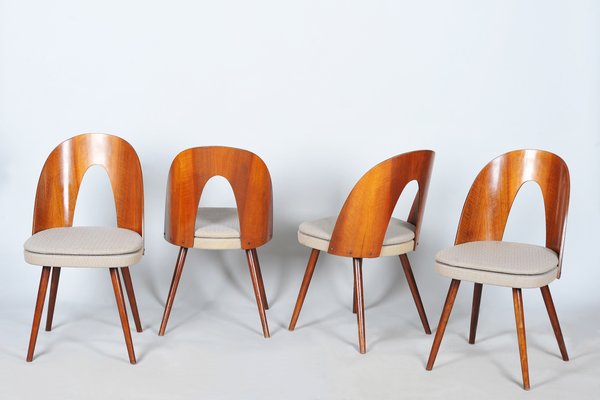 Mid-Century Chairs in Walnut attributed to Antonín Šuman, Czech