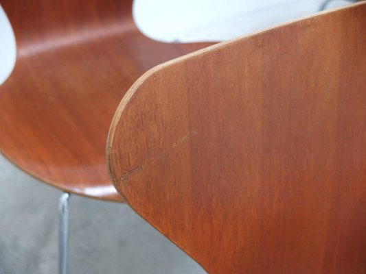 Series 7 Chairs in Teak by Arne Jacobsen for Fritz Hansen, 1955