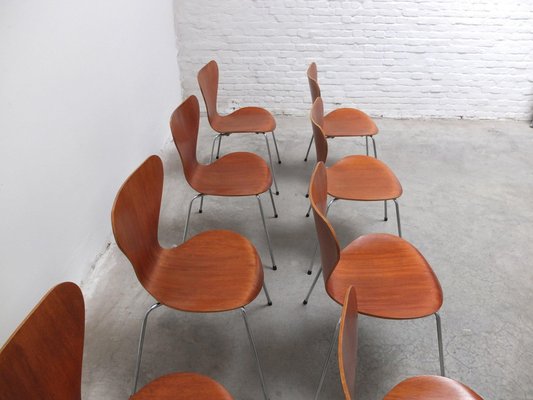 Series 7 Chairs in Teak by Arne Jacobsen for Fritz Hansen, 1955