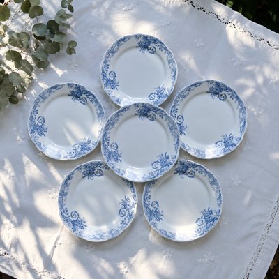 wäschesammler plastik Rotho Wäschekorb Jona, blau, mit Deckel, aus Kunststoff, 43,2 x 53,3 x 35,5 cm, 55 Liter – Böttcher AG Klein