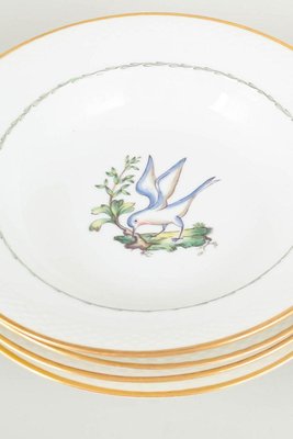Große tiefe Teller mit Vogel-Motiven von Royal Copenhagen, 20. Jh., 6er Set bei Pamono kaufen