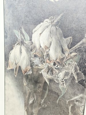 Horst Janssen, Graphic Flowers for a Long Journey, 1979, Paper for