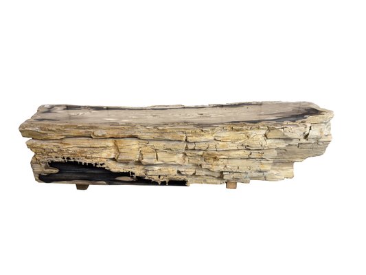 Petrified Wood Bench by Xyleia Petrified Wood for sale at Pamono