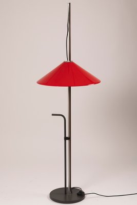 Aggregato Terra Floor Lamp by Enzo Mari and Giancarlo Fassina for