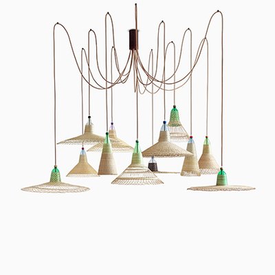 Pet lamp for sale deals