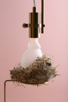 Black tourmaline lamp deals