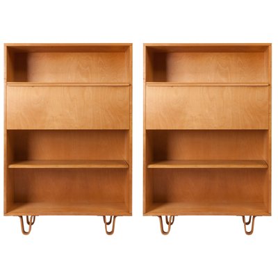 Bookcase Or Writing Desk By Cees Braakman For Pastoe 1950s Writing Desk By Cees Braakman