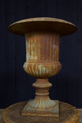 Antique Medici Garden Urns Set Of 2 For Sale At Pamono