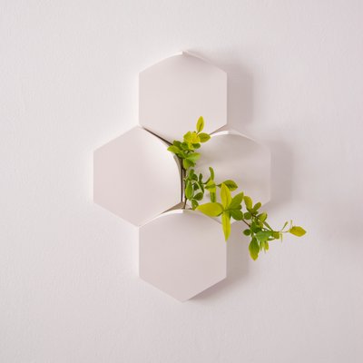https://cdn20.pamono.com/p/g/3/3/330355_fj49og8kuz/vasi-da-parete-teumsae-bianchi-di-extra-ordinary-design-set-di-4-immagine-2.jpg