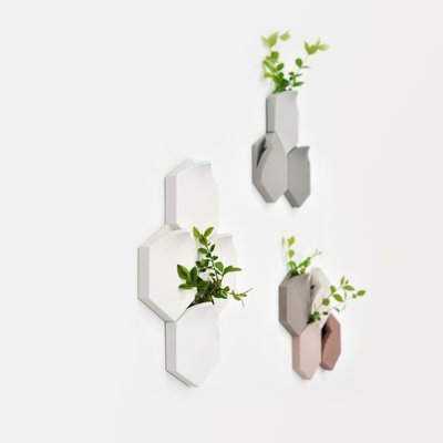 Vasi da parete Teumsae bianchi di Extra&ordinary Design, set di 4 in  vendita su Pamono