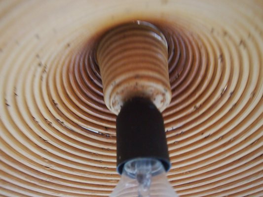 Bamboo Ceiling Lamp 1960s For Sale At Pamono