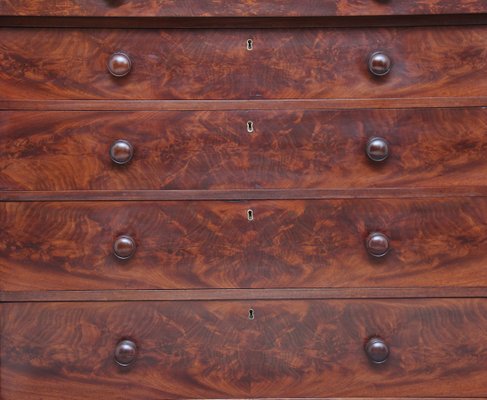 19th Century Scottish Mahogany Chest Of Drawers For Sale At Pamono