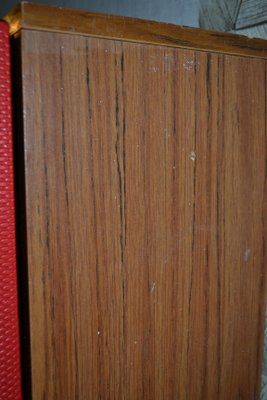 Vintage Red Shoe Cabinet 1960s For Sale At Pamono