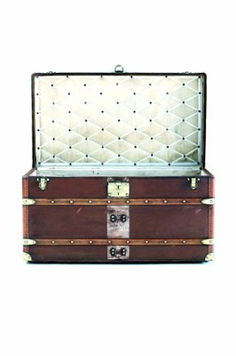 Canvas Trunk From Louis Vuitton 1920s For Sale At Pamono