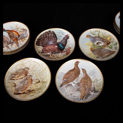 SELECT PLATE GAME BIRDS OF THE WORLD BY BASIL EDE LIMOGES PLATES 