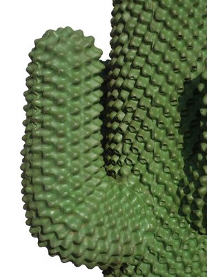 portugiesischer kirschlorbeer kaufen 120 cm Portugiesischer Kirschlorbeer (120-150cm) im großem 15L Topf