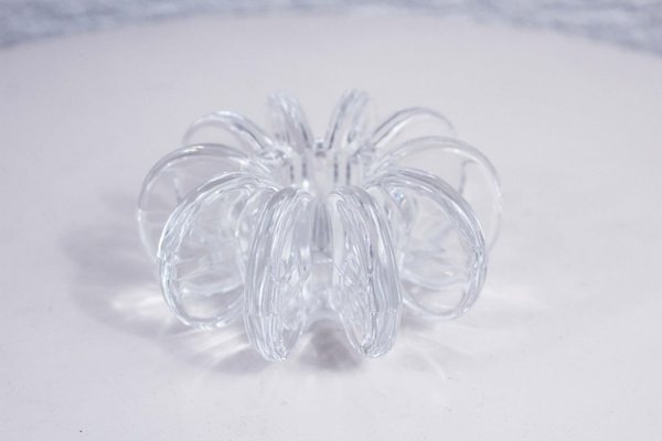 Get Philipp rosenthal frau Free HD