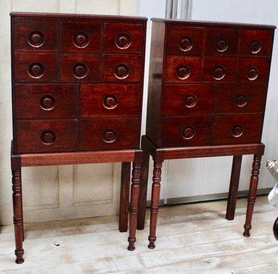 Victorian Mahogany Apothecary Chests 1850s Set Of 2 For Sale At