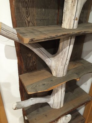 Vintage Driftwood Shelves From Atelier, Driftwood Shelving Unit