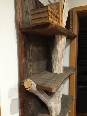 Vintage Driftwood Shelves From Atelier Virginie Ecorce For Sale At Pamono