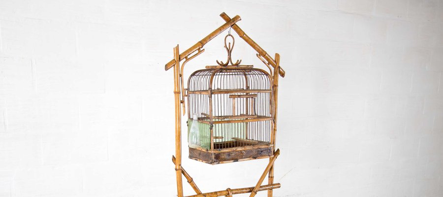 Cage à Oiseaux Mid Century En Rotin