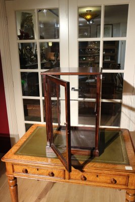 Small Mahogany Display Cabinet 1900s For Sale At Pamono