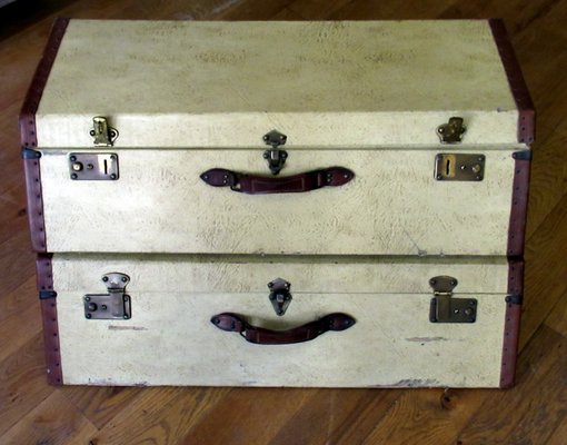 Vintage Suitcases, Set of 2