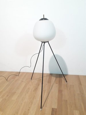 Vintage Tripod Floor Lamp 1950s For At Pamono Vintage Tripod Floor Lamp 1950s 1