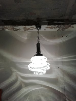 Model Zebra Ceiling Lamp 1960s For Sale At Pamono