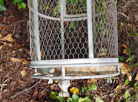 Grande Cage à Oiseau Vintage En Fer Italie 1920s