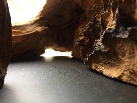 Robinia Wood Lamp From Natural Design For Sale At Pamono