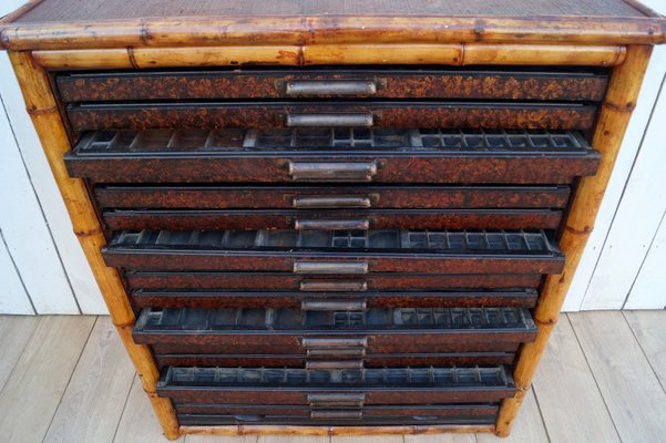 Antique Bamboo Specimen Chest For Sale At Pamono