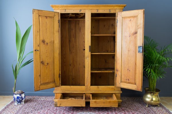 19th Century Baltic Pine Wardrobe 1873 For Sale At Pamono