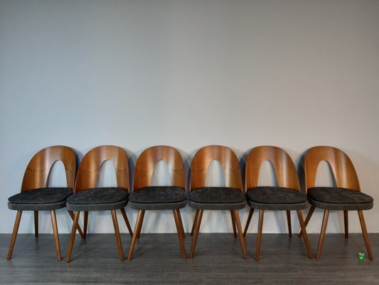 Walnut Fabric Dining Chairs By Antonin Suman For Mier 1960s Fabric Dining Chairs By Antonin Suman