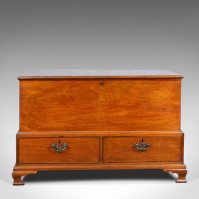 Antique Georgian English Gany Mule Chest 1780s For At Pamono Antique Georgian English Gany Mule Chest 1780s 2