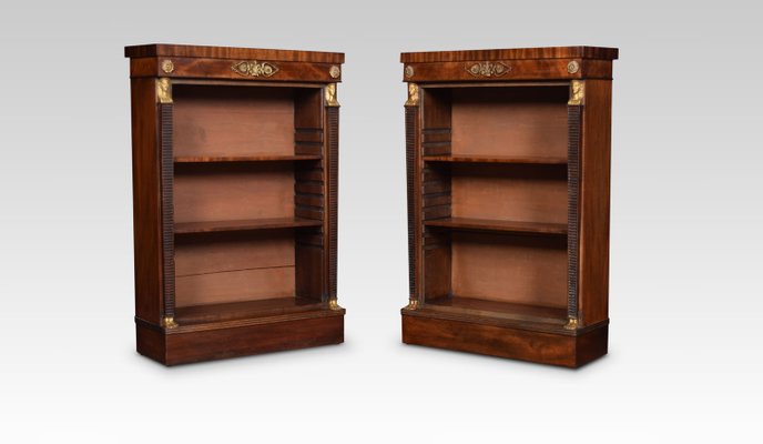 Antike Bücherregale