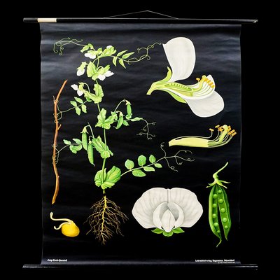 Download Lehrtafel Free