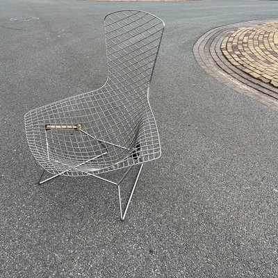 Chrome Bird Chair by Harry Bertoia for Knoll International